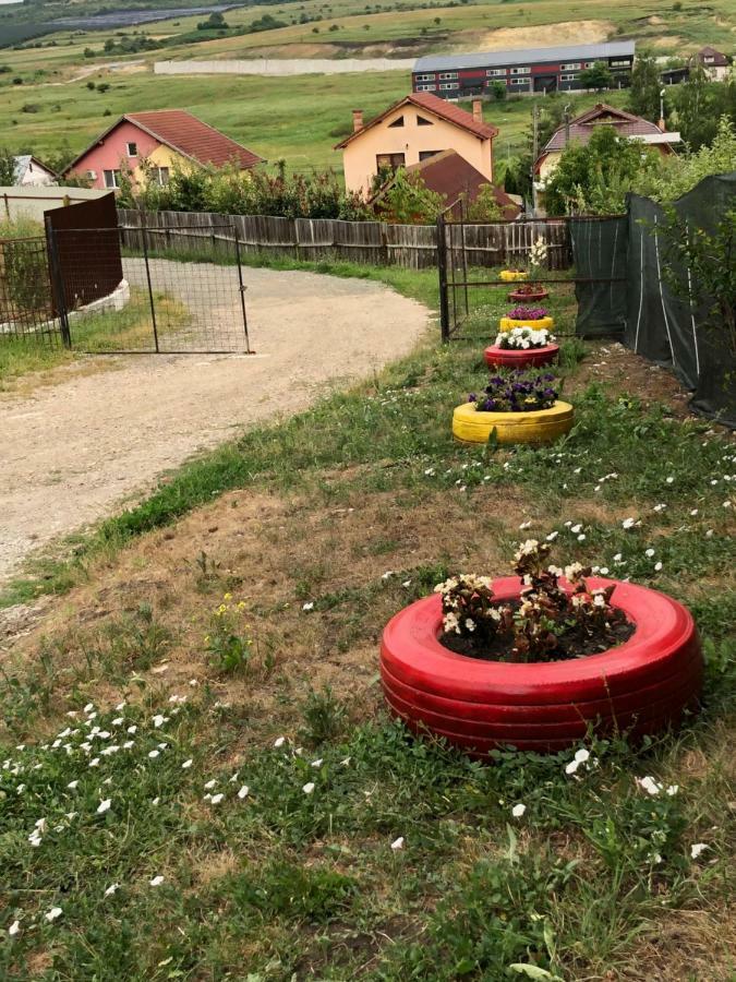 Bbs Residence Cluj-Napoca Eksteriør bilde